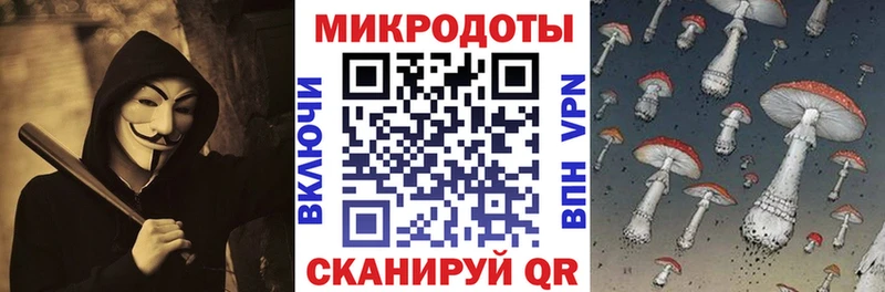 Галлюциногенные грибы Psilocybine cubensis  Купить  Тавда 